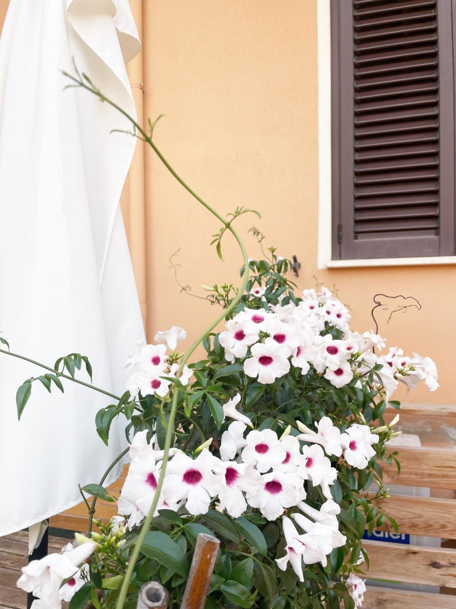 Heidi'S Apartment Alghero Exterior foto